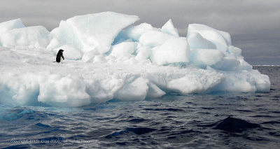 Ice Bergs, Devil Island  1
