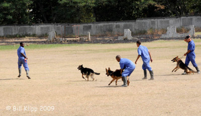 Police Dog Training