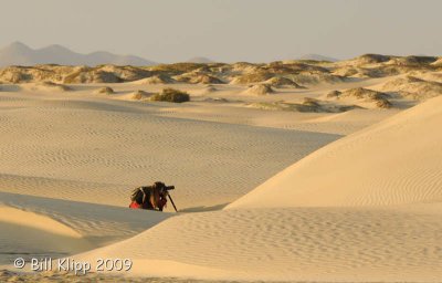 Dunes Magdalena Bay  1