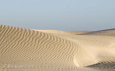Dunes Magdalena Bay  2