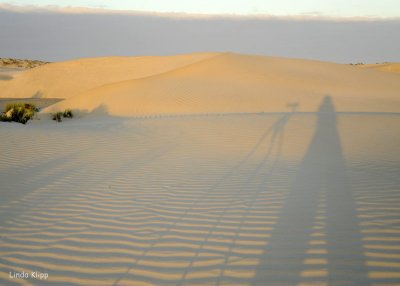 Sand Dunes, Magdalena Bay  1