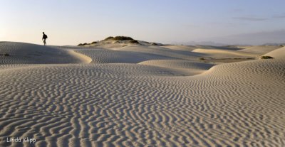 Sand Dunes, Magdalena Bay  2