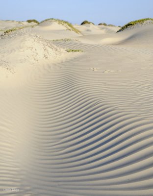 Sand Dunes, Magdalena Bay  4