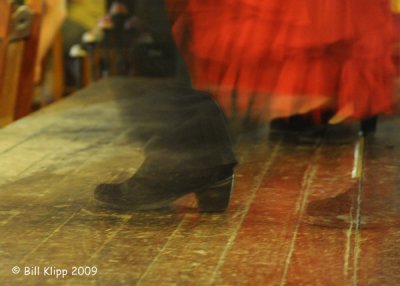 Flamingo Dancing, Havana Cuba 3