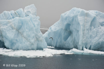Iceberg, Svalbard 1