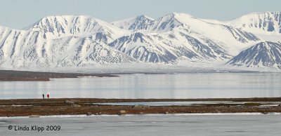 Reindeer Flats,  Svalbard Norway 1