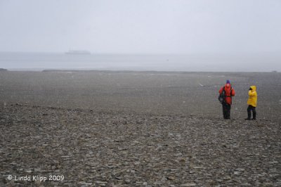 Diskobutka, Svalbard Norway