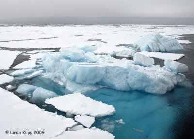 Ice,  Svalbard Norway  1