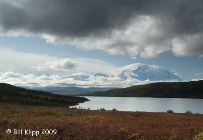 Wonder Lake & Mt. Denali  1