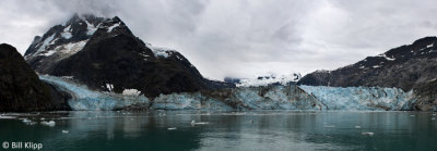 John Hopkins Glacier, Glacier Bay  1