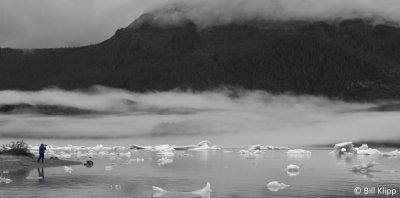 Mendenhall Glacier, Juneau Alaska  2