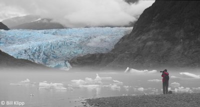Mendenhall Glacier, Juneau Alaska  4