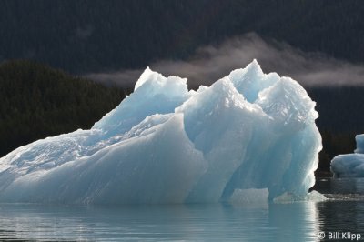 Iceberg, Le Conte Glacier  1