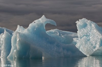 Iceberg, LeConte Glacier  2