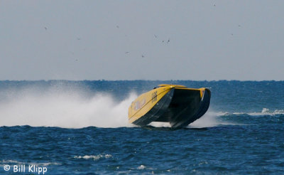 2010  Key West  Power Boat Races   60