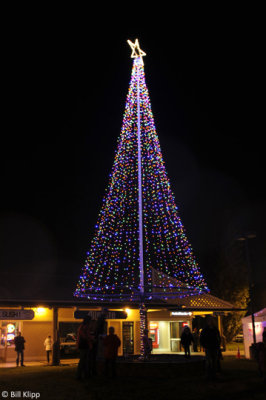 Discovery Bay Christmas Tree  2010  1