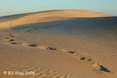 Dunes, Isla Magdalena