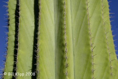 g1/57/566457/3/58944555.b4n7L8ef.jpg