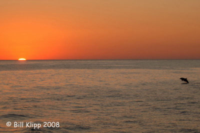 g1/57/566457/3/58944621.Zz08ojyL.jpg