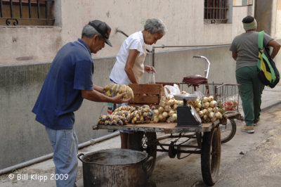 The People of Cuba 14