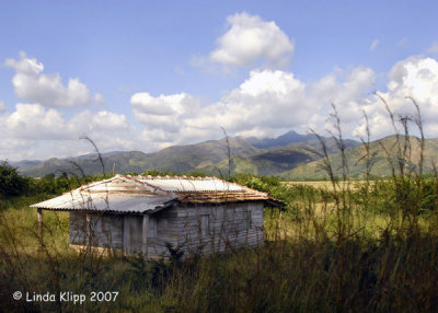 Trinidad Landscape