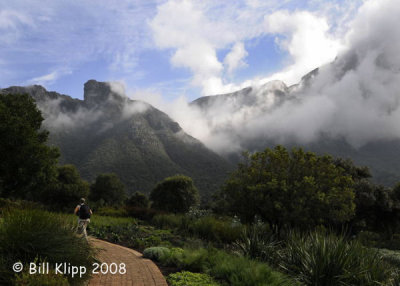 Cape Town Botanical Gardens