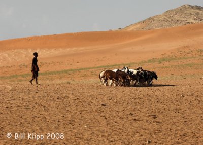 Himba Tending Goats, Serra Cafema 11