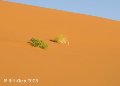 Dunes, Naukluft Park Sossusvlei 5