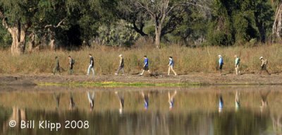 Walking Safari Chiawa