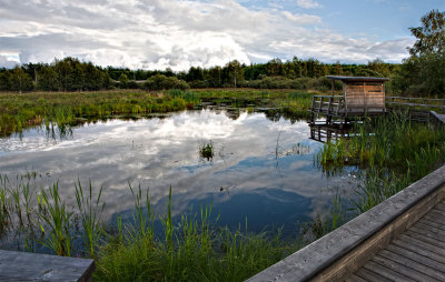 Skogsvaktarkrret