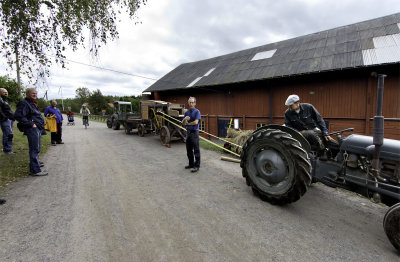 Vsby grd  - Trskning p gammalt vis den 16 september