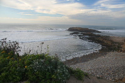 IMG_5013-crp.jpg