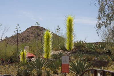Chihuly at the Arizona Desert Botanical Garden 2009