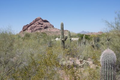 _MG_2966.jpg