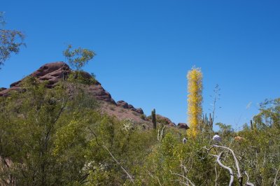 _MG_3081.jpg