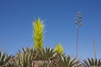 _MG_3098.jpg