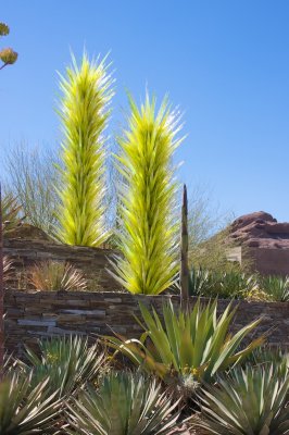 Chihuly at the Arizona Desert Botanical Garden 2009