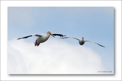 Sky High