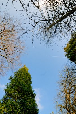 Contrails