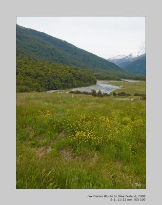 Franz Josef and Fox Glaciers