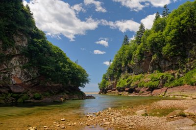 Fundy Park