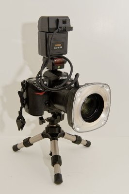 Ringflash1
