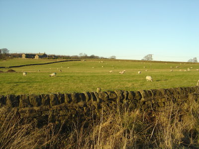 Yorkhshire