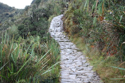 Incra Trail