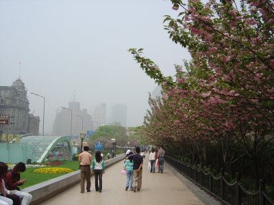 Shanghai