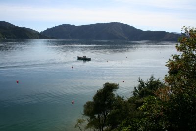 Bay of Many Coves