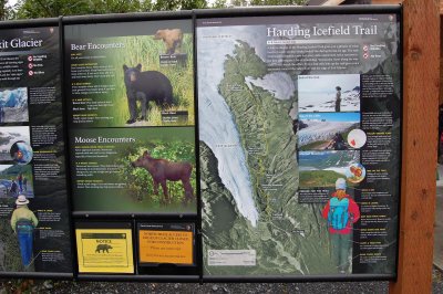 Day 6 Ice Field Board