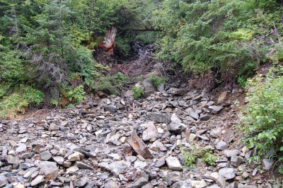 Day 7 Trail1