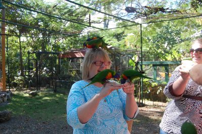 FeedingParrots