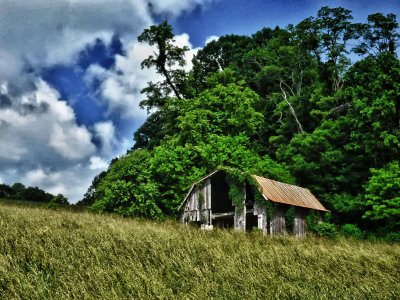 Barn from Below